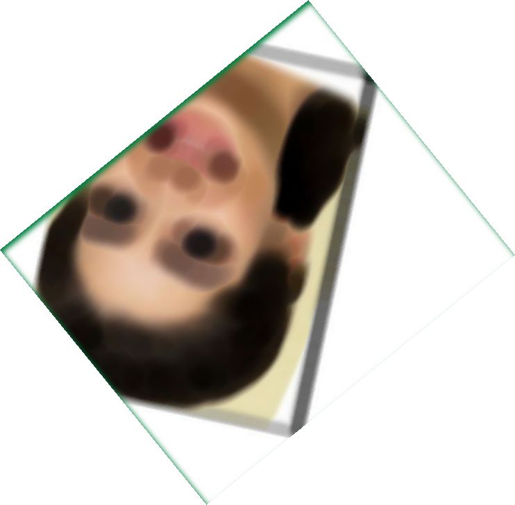 Apologise, chatroulette video captures will not Chatroulette video captures