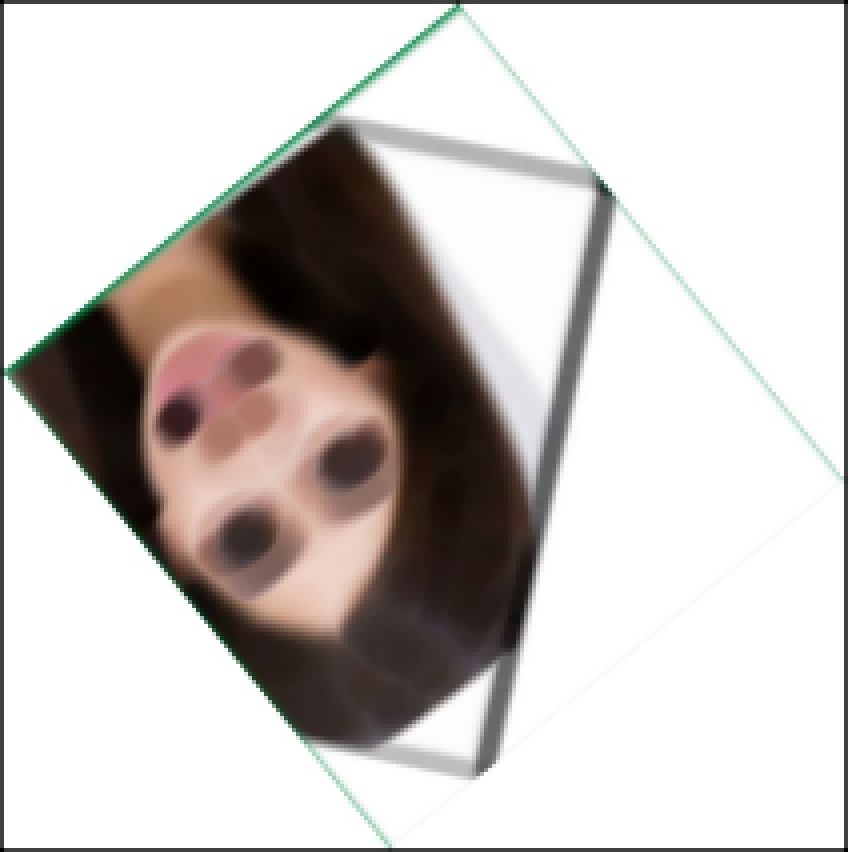 Text chat room Text chat room